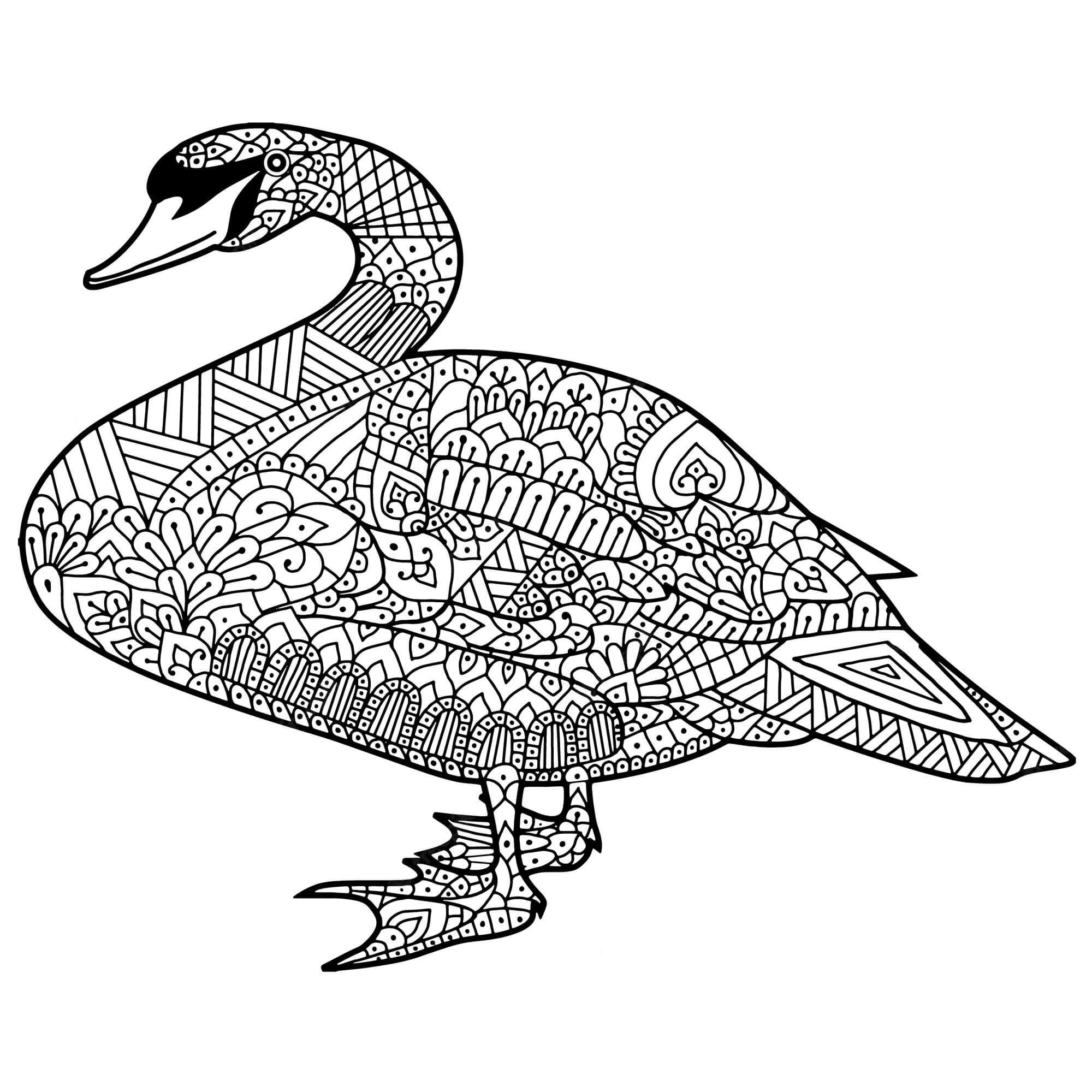 Great Swan Mandala coloring page