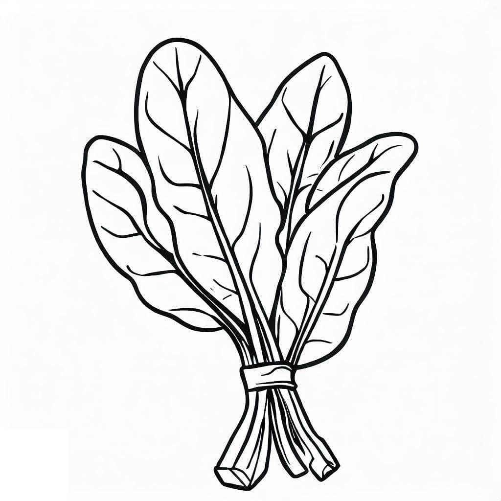 Spinach coloring pages - ColoringLib