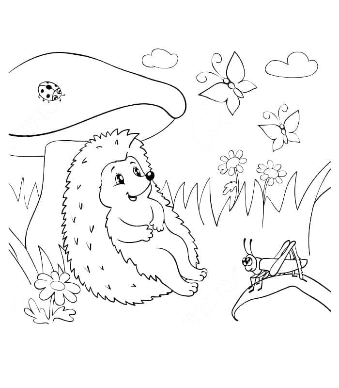 Happy Hedgehog coloring page