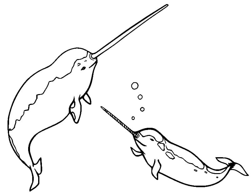 Happy Narwhals coloring page