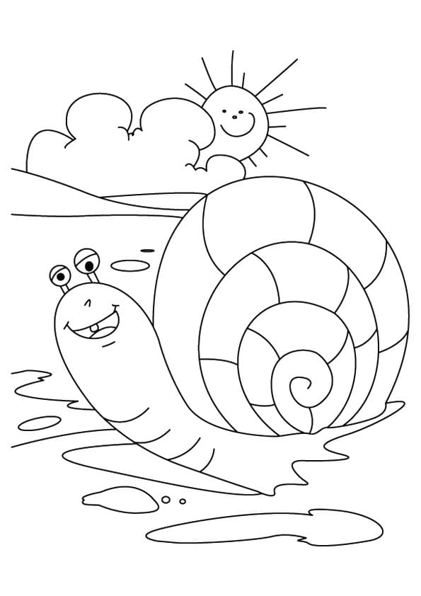 Happy Snail an Sun