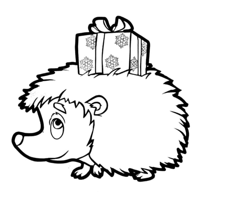 Hedgehog and a Present