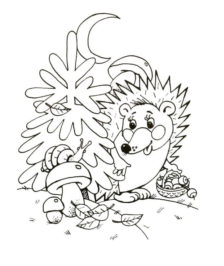 Hedgehog and Snail coloring page