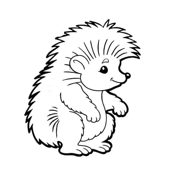 Cute Hedgehog coloring page - Download, Print or Color Online for Free