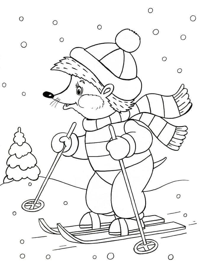 Hedgehog is Skiing