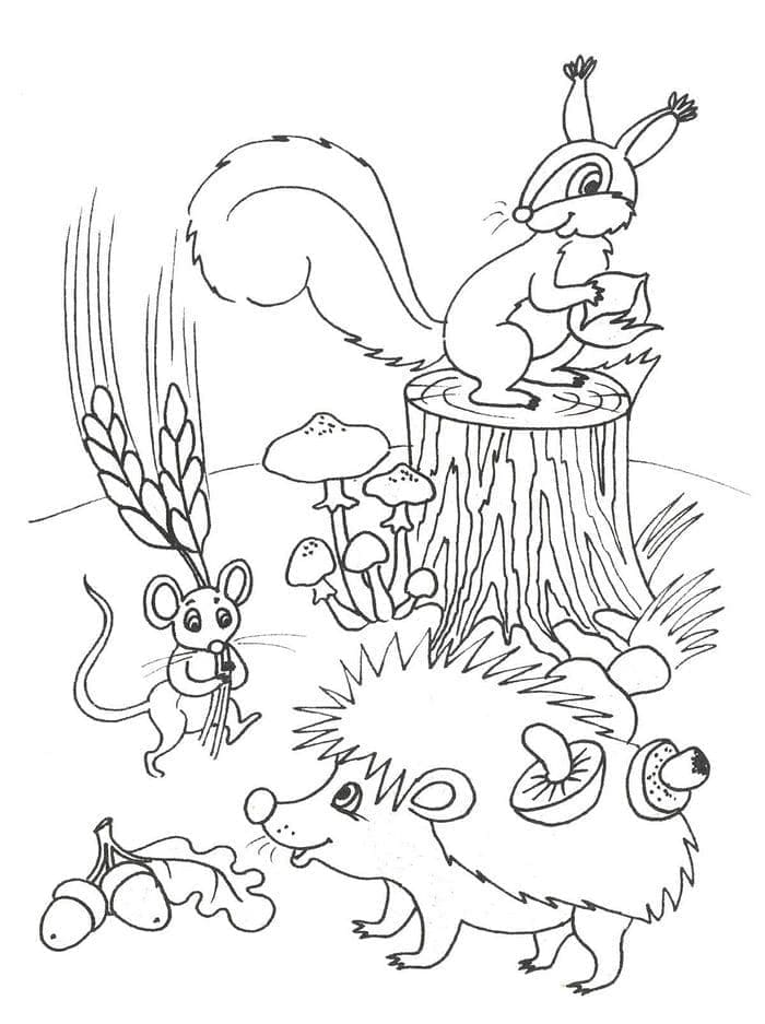 Hedgehog, Mouse and Squirrel coloring page