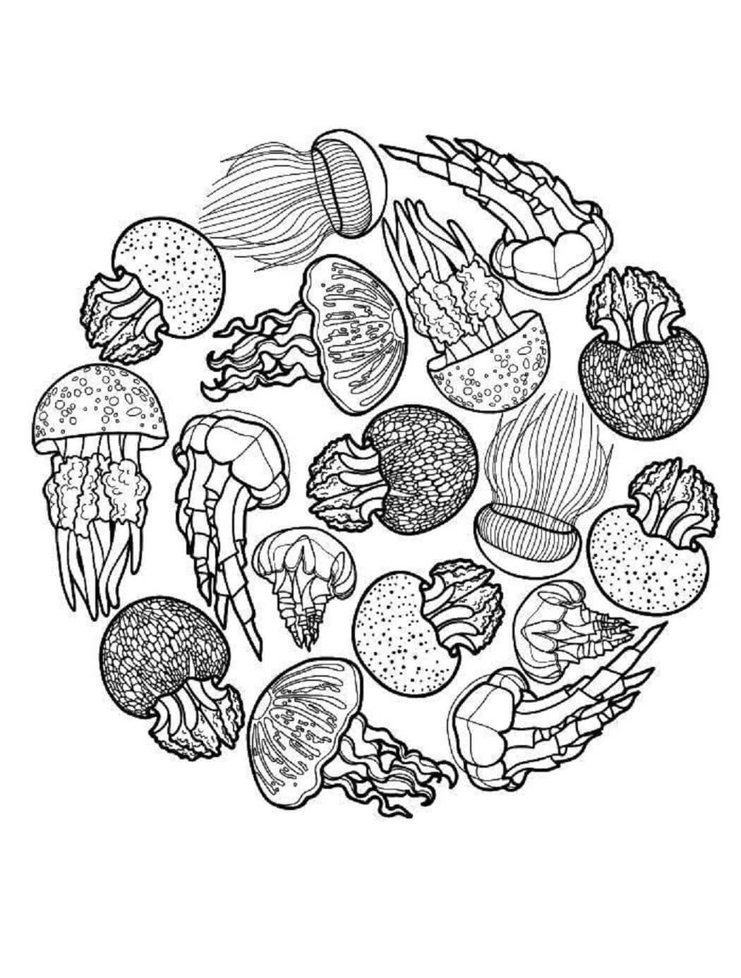 Jellyfishs Mandala coloring page