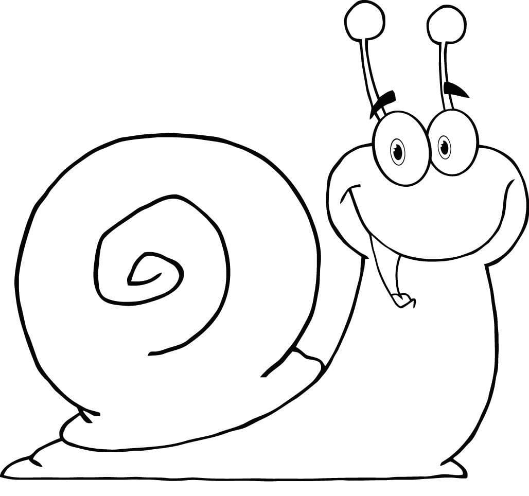 Laughing Snail