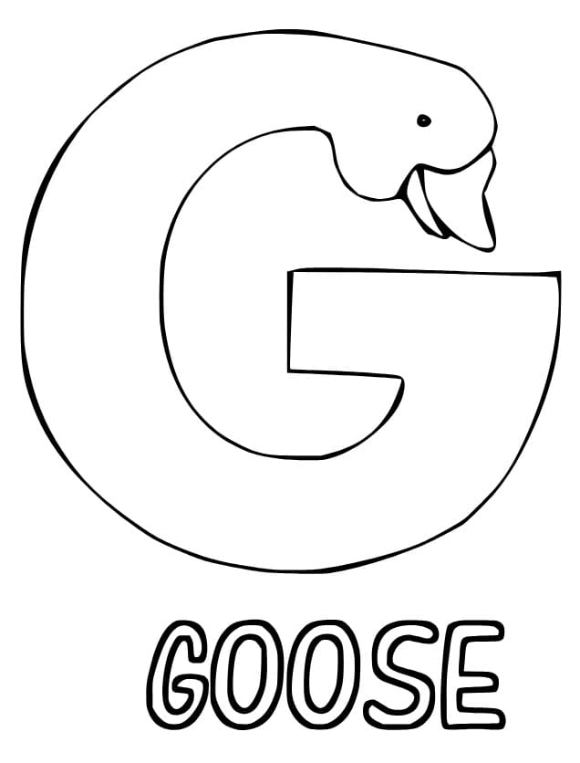 Letter G is For Goose