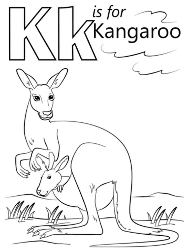 Letter K is For Kangaroo