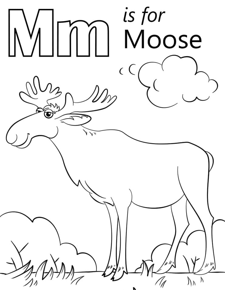 Letter M is For Moose