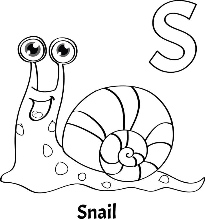 Letter S is For Snail