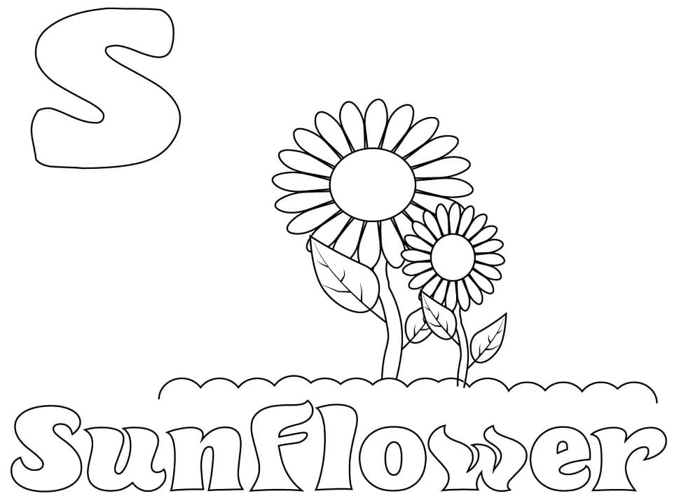 Letter S is For Sunflower coloring page