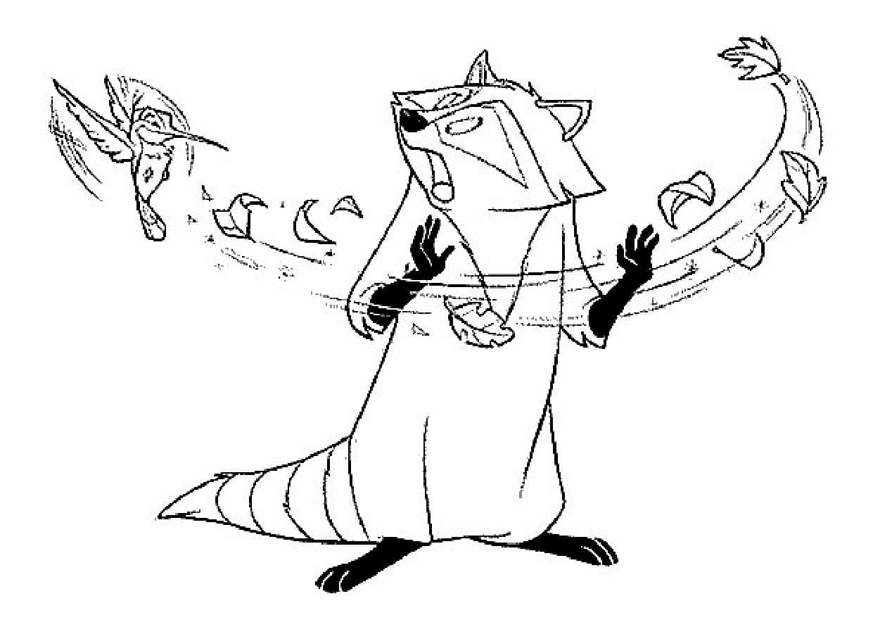 Meeko from Pocahontas coloring page - Download, Print or Color Online ...