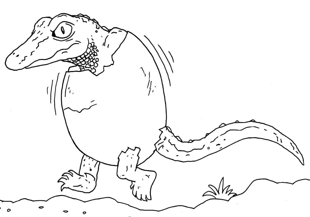 Newborn Alligator coloring page