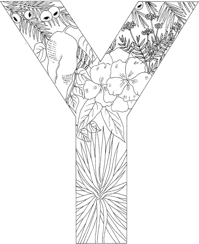 Nice Letter Y coloring page