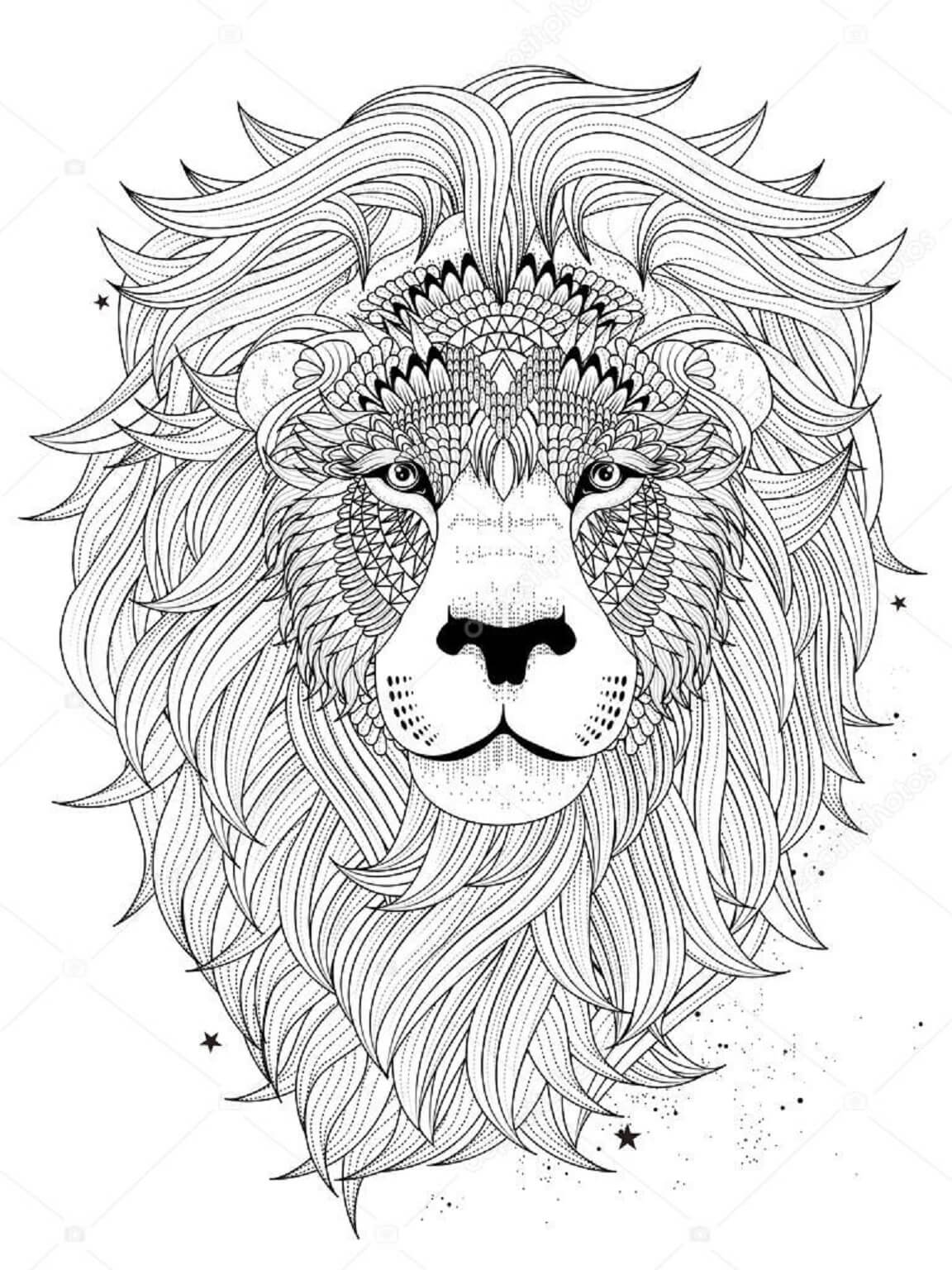 Lion Coloring Book Page Instant Download 