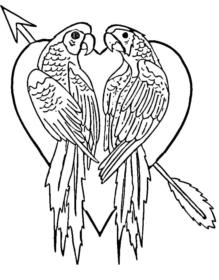 Parrot Couple coloring page