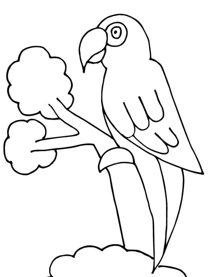 Parrot in the Tree coloring page