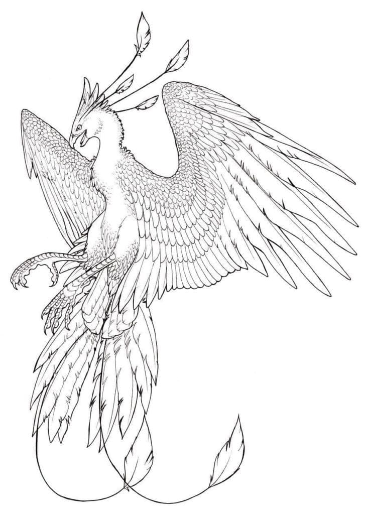 Phoenix for Adult coloring page