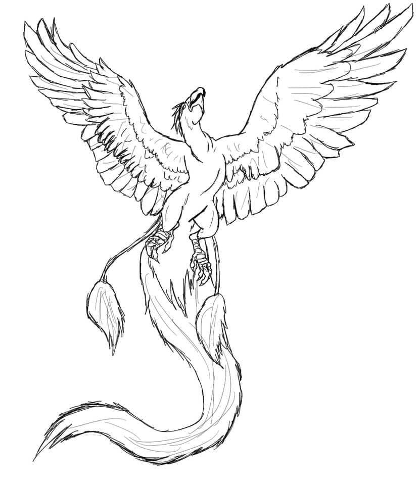 Phoenix – Sheet 8 coloring page