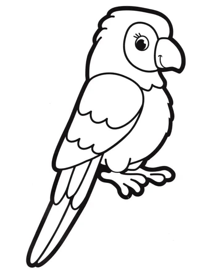 Pretty Parrot coloring page