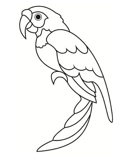 Printable Parrot