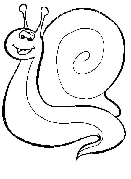 Printable Snail coloring page