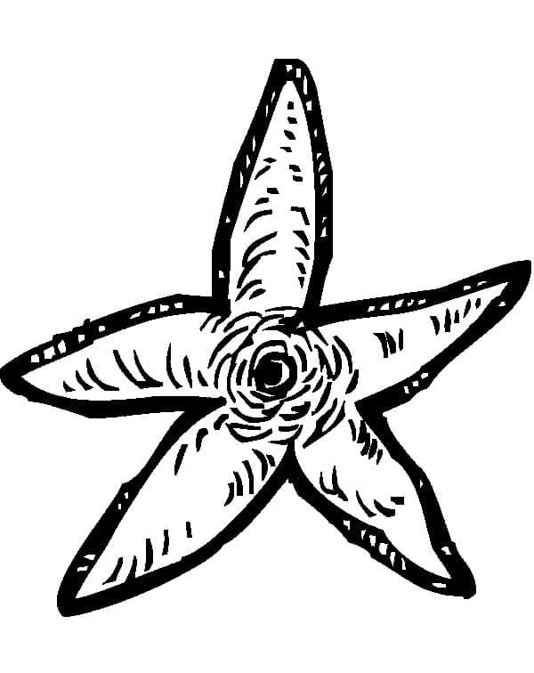 Printable Starfish coloring page