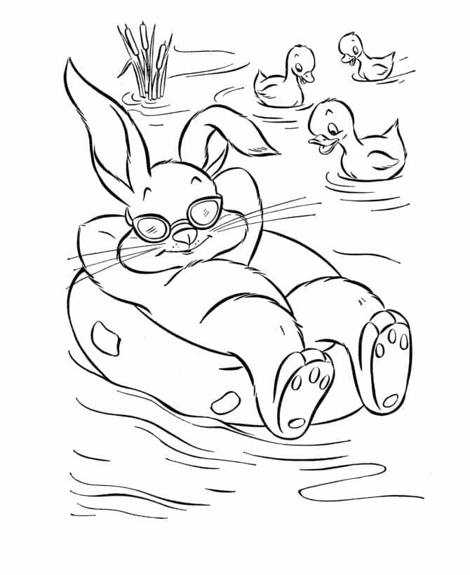 Relaxing Rabbit