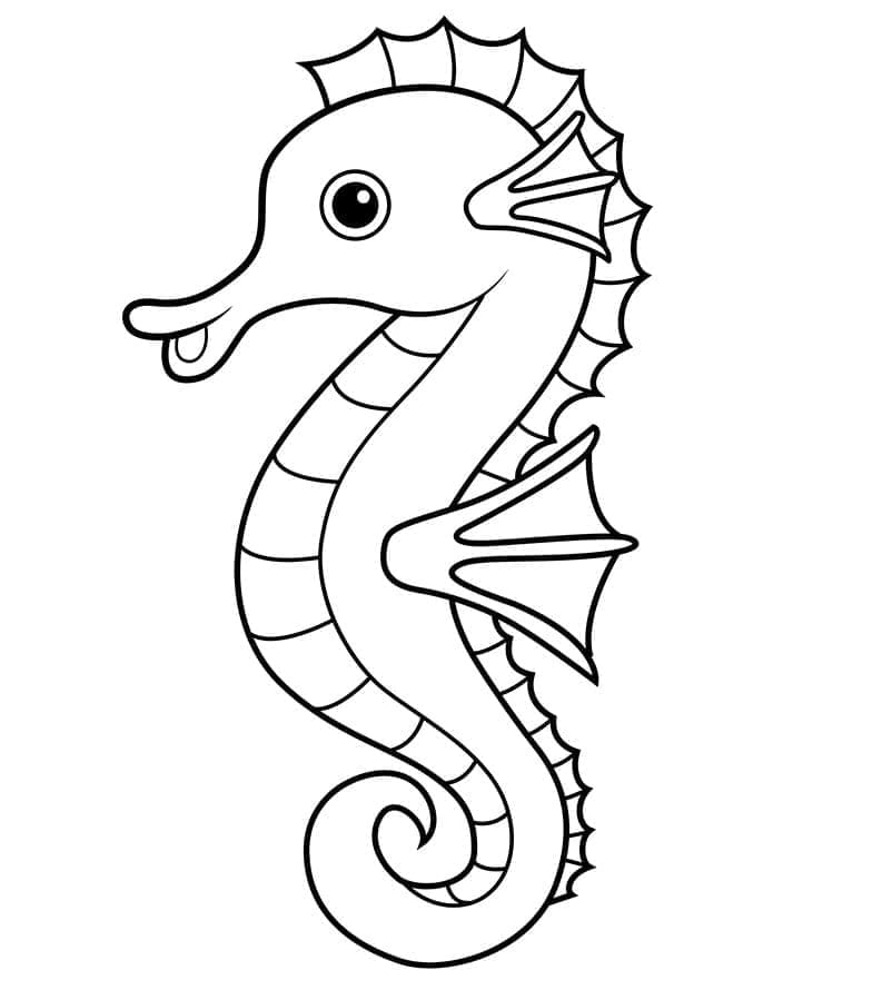 seahorse coloring page