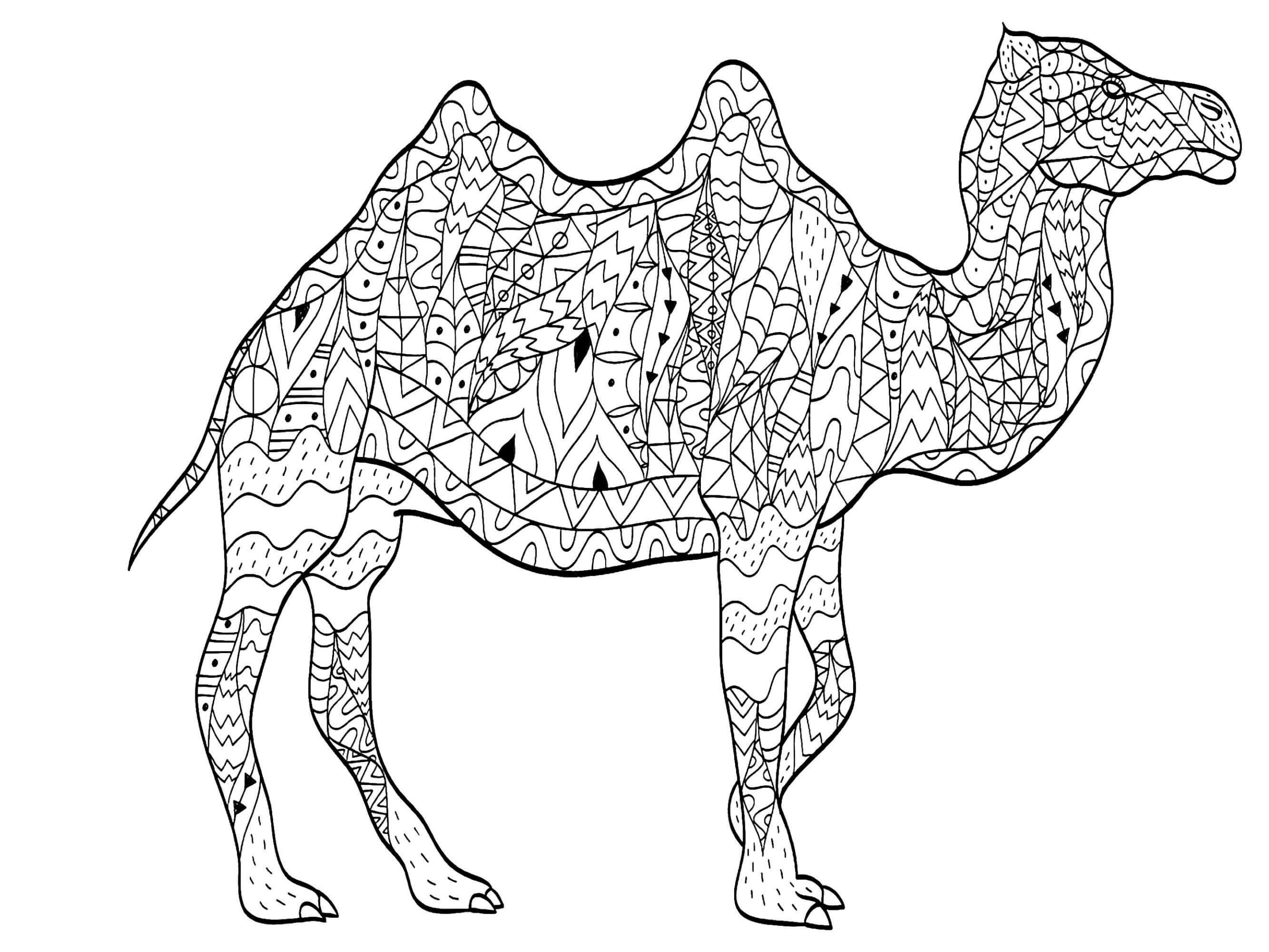 Simple Camel Mandala coloring page - Download, Print or Color Online