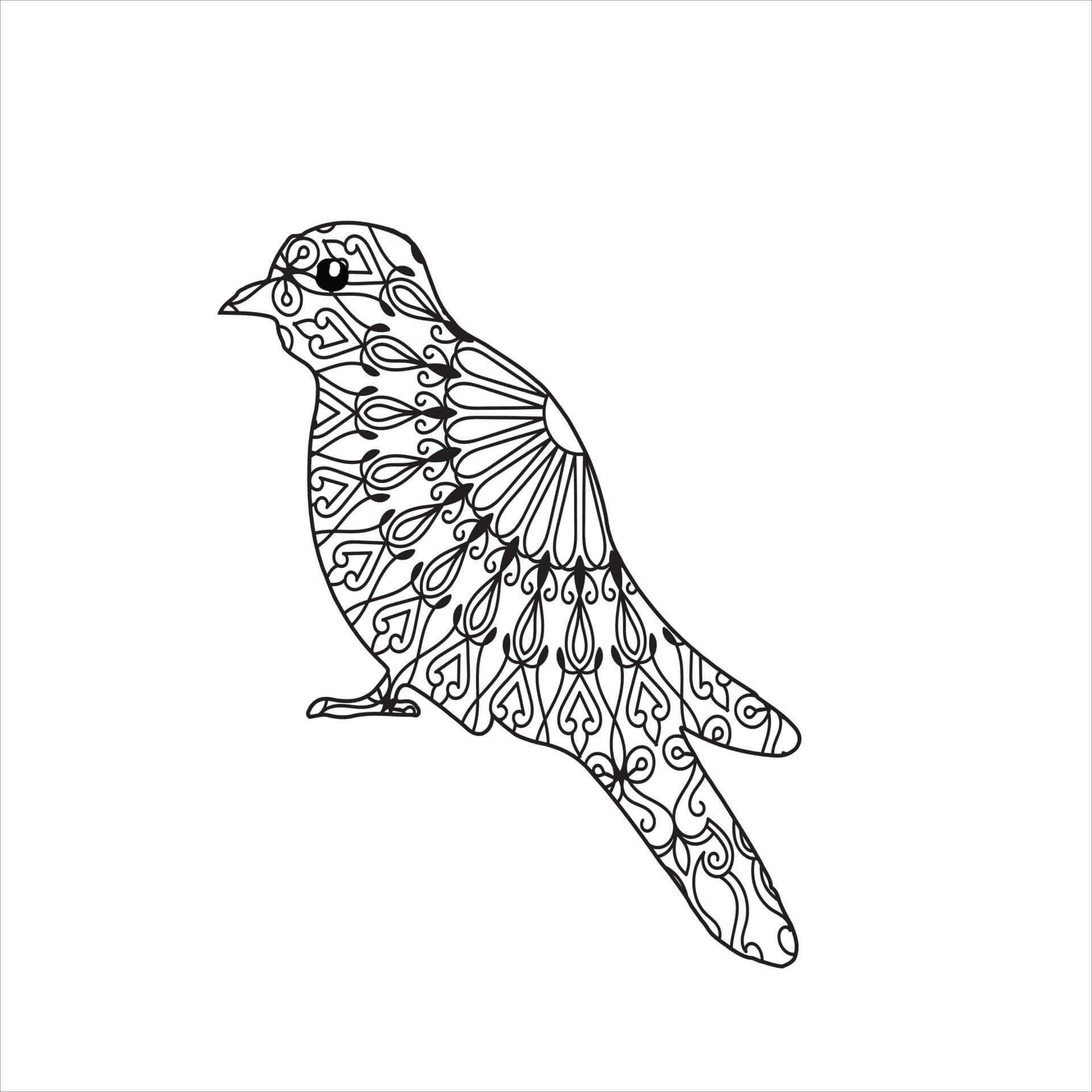 Pigeon Facing Left – Hugo Guinness
