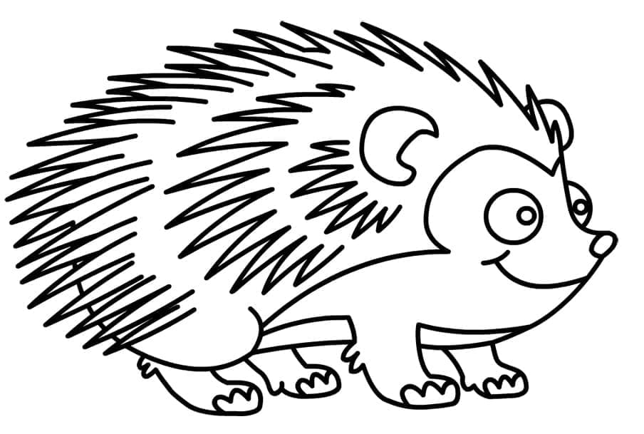 Smiling Hedgehog coloring page - Download, Print or Color Online for Free