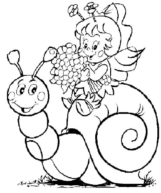 Snail and Fairy