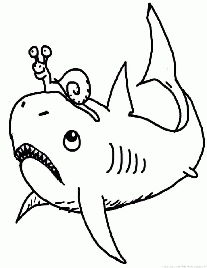 Snail and Shark coloring page