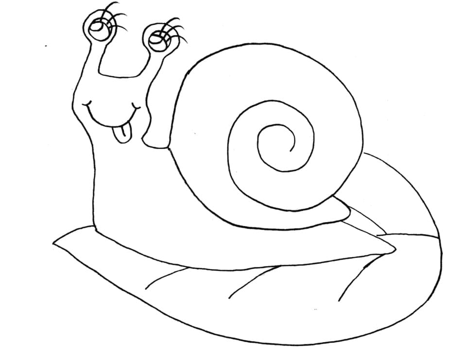 Snail on a Leaf