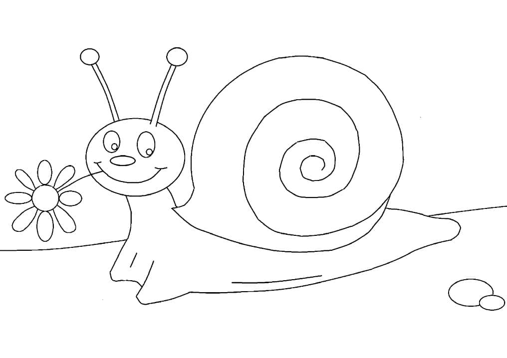 Snail with a Flower coloring page