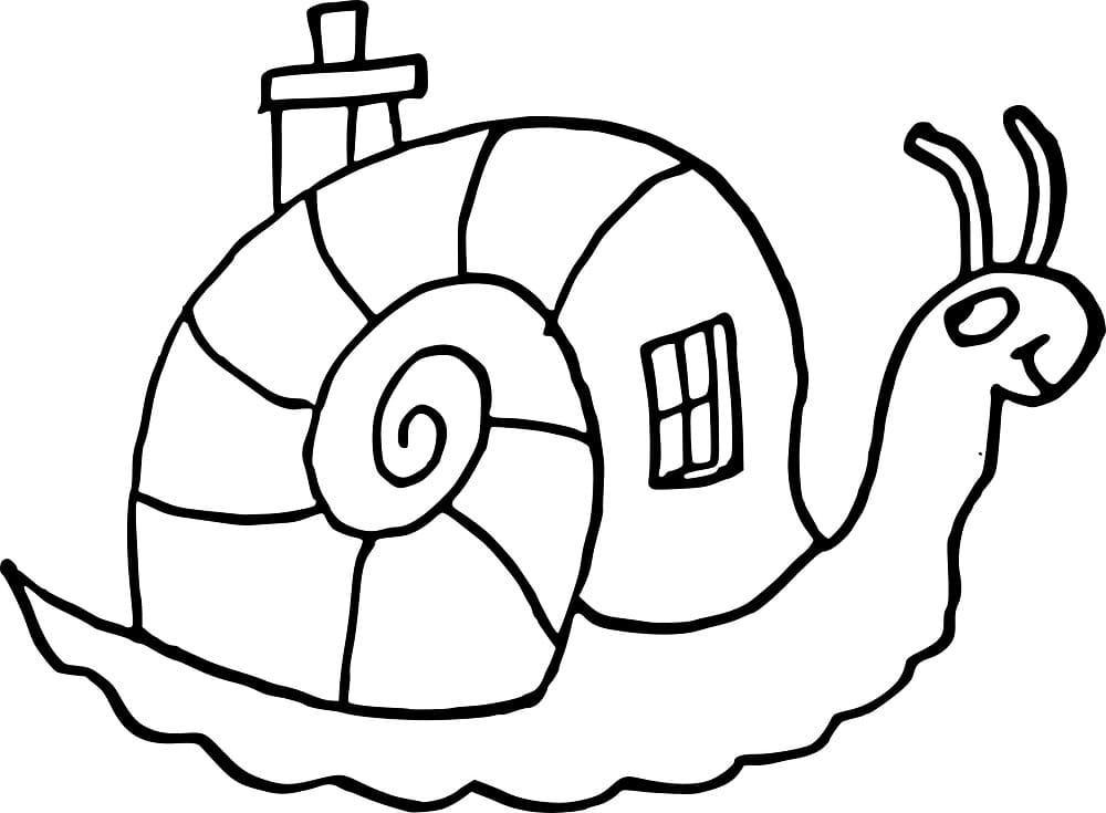 Snail with House Shell