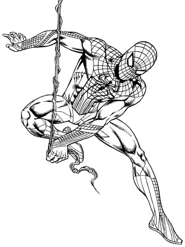 Spiderman coloring page