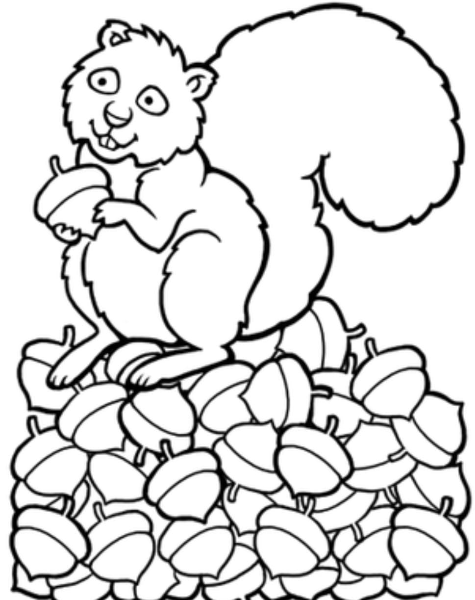 Squirrel and Acorns coloring page