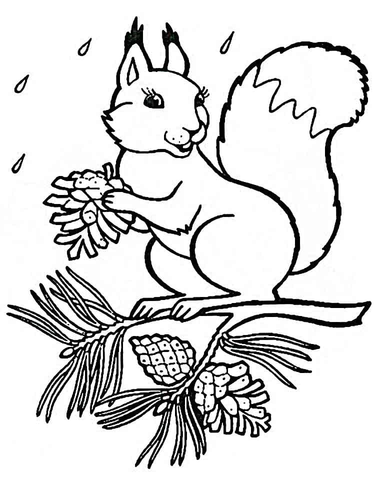 Squirrel Free For Kids coloring page