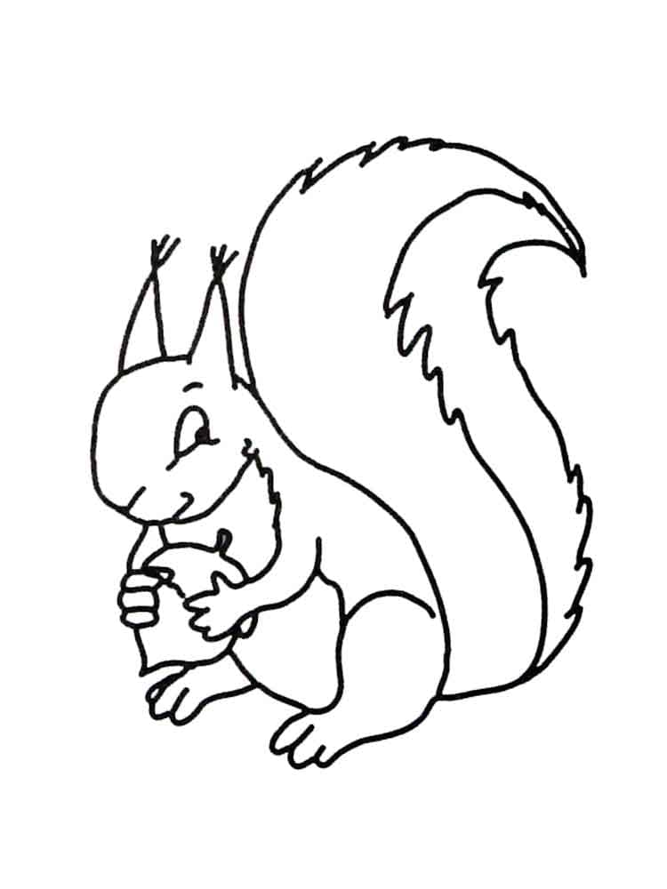 Squirrel Printable coloring page