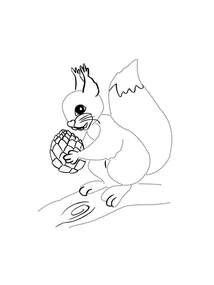 Squirrel – Sheet 4 coloring page