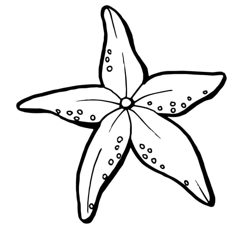 Starfish For Kids coloring page