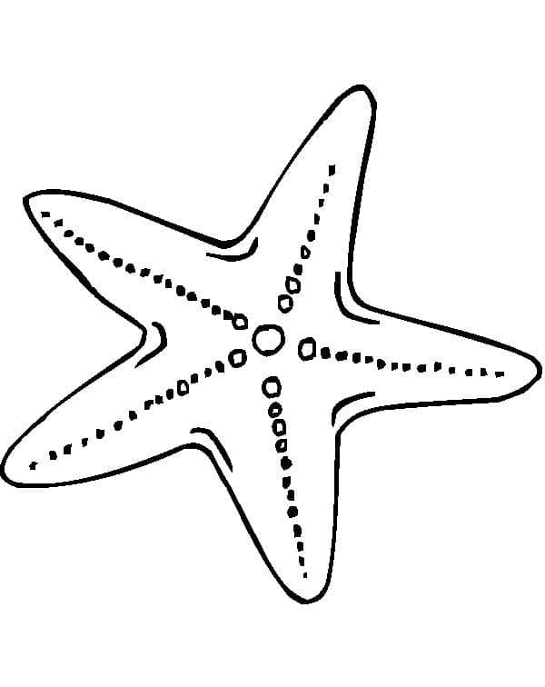 Starfish Printable