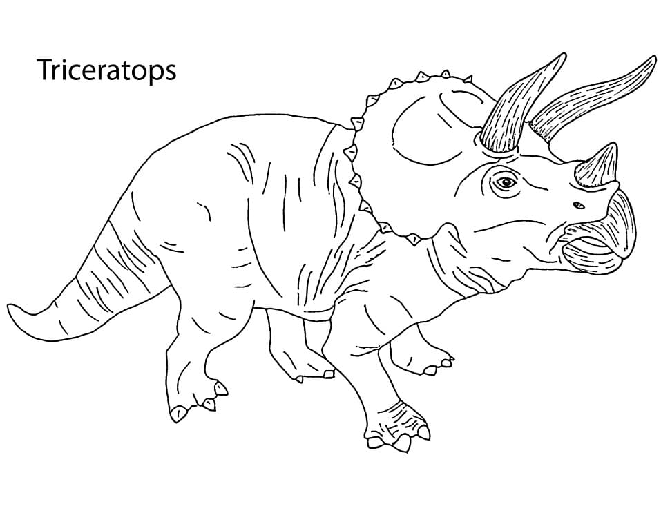 Triceratops For Children coloring page