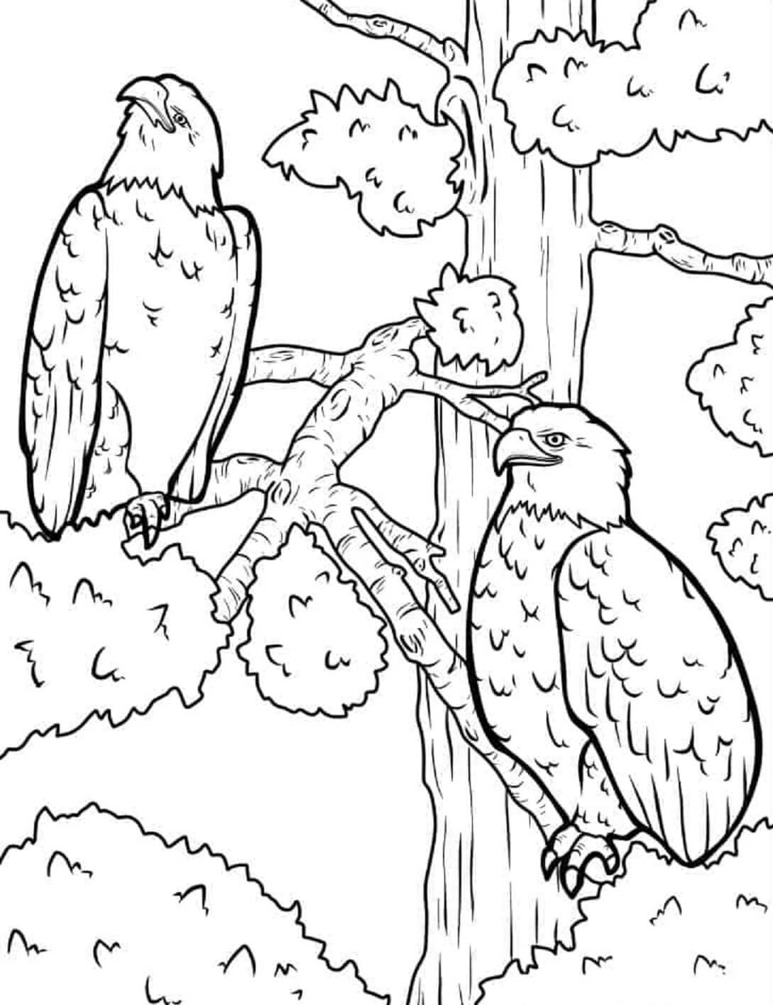 Two Eagles on Branch Tree Mandala coloring page