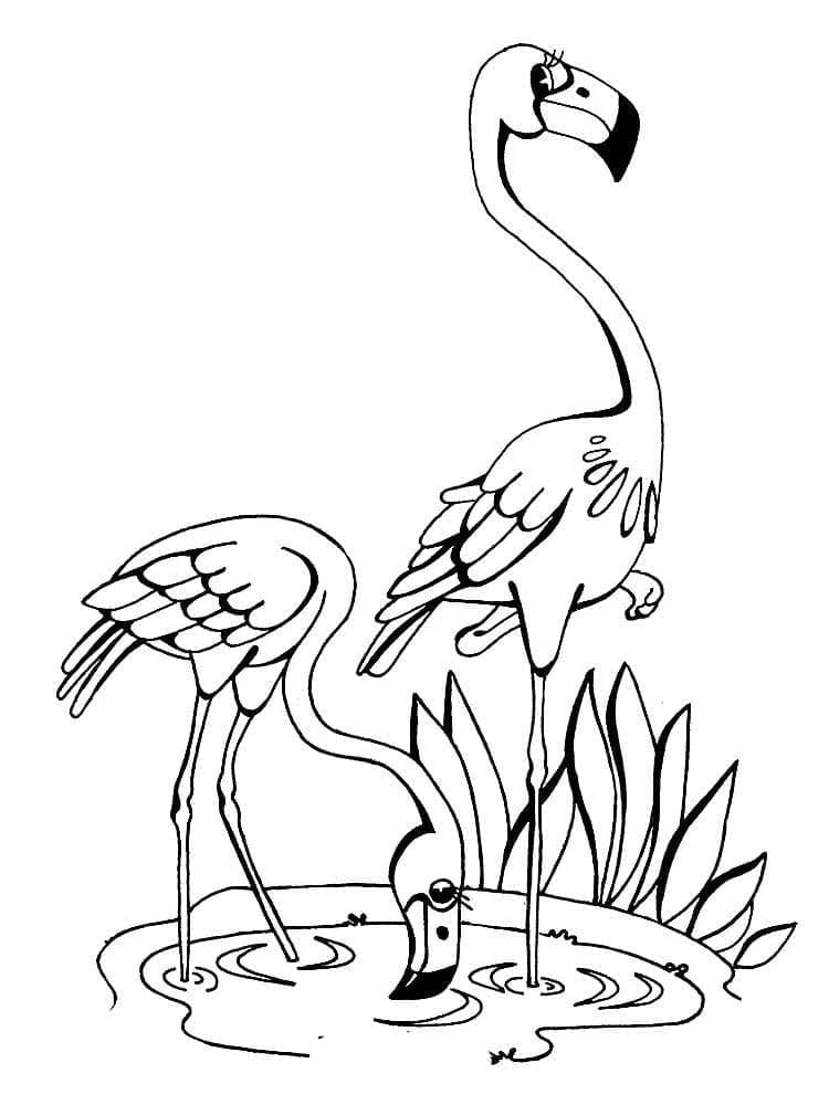 Two Flamingo coloring page