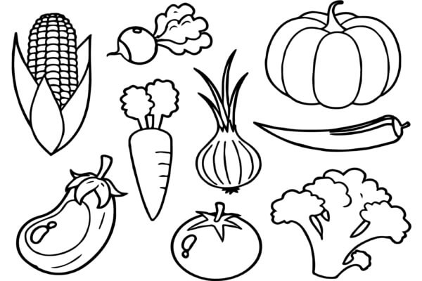 Types Of Vegetables